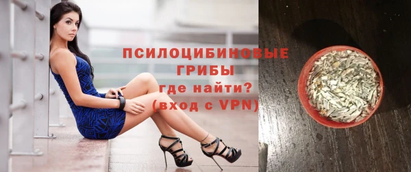 шишки Белоозёрский