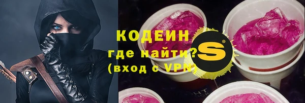 шишки Белоозёрский