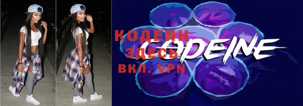 шишки Белоозёрский