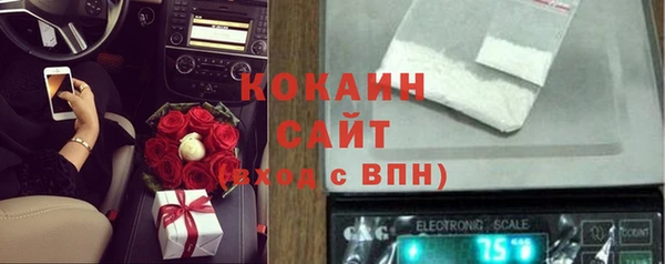 шишки Белоозёрский