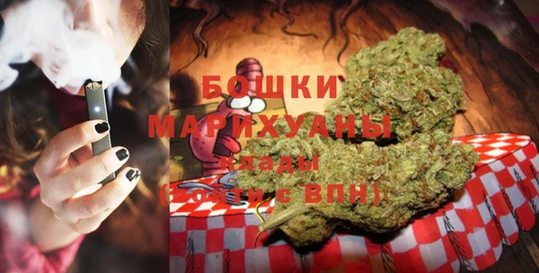 шишки Белоозёрский