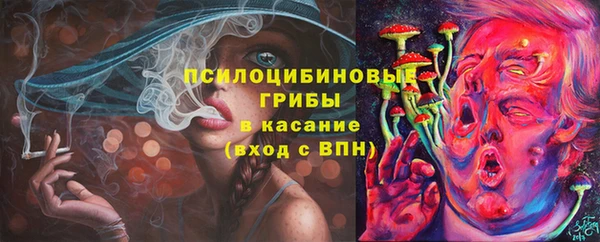 шишки Белоозёрский
