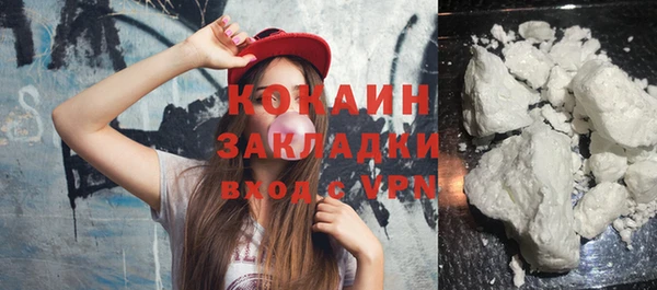 шишки Белоозёрский
