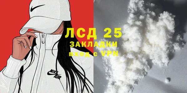шишки Белоозёрский