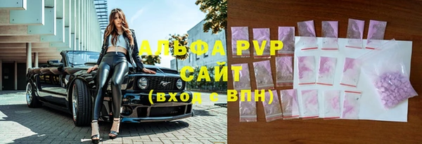 шишки Белоозёрский