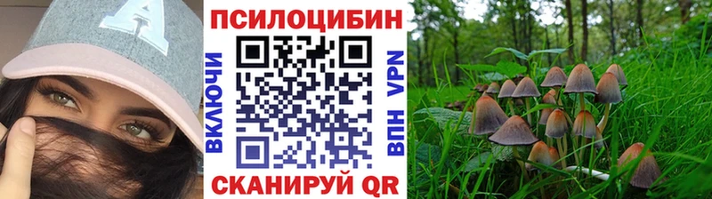 Псилоцибиновые грибы мицелий  Купить  Тейково 